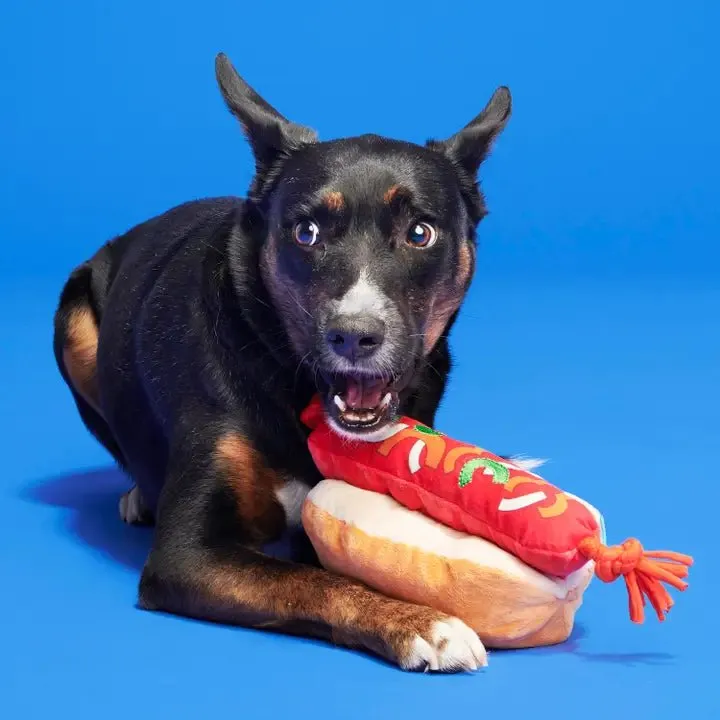 BARK Everything Dog Fourth of July Bbq Plush Dog Toy