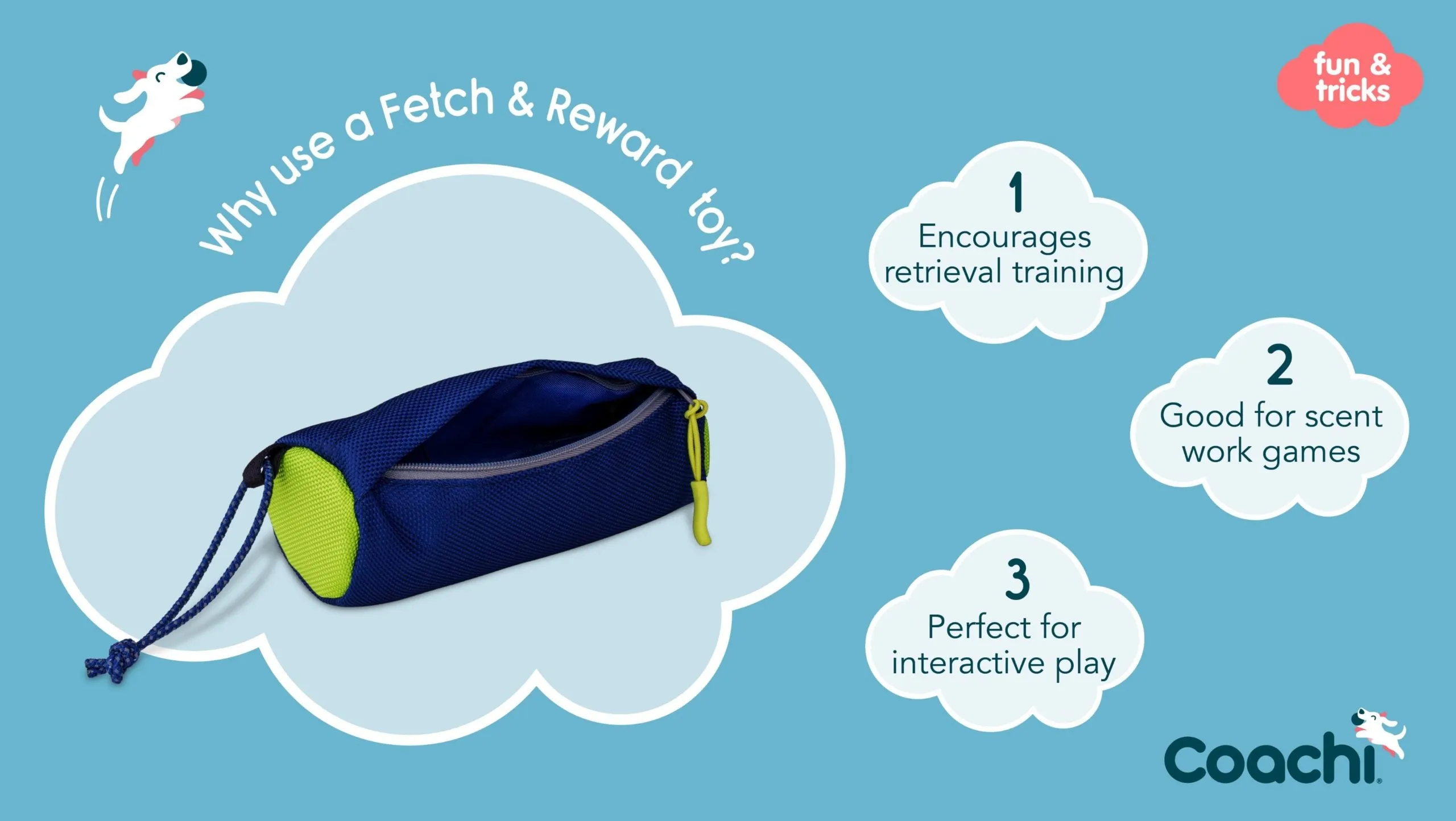 Coachi Fetch and Reward