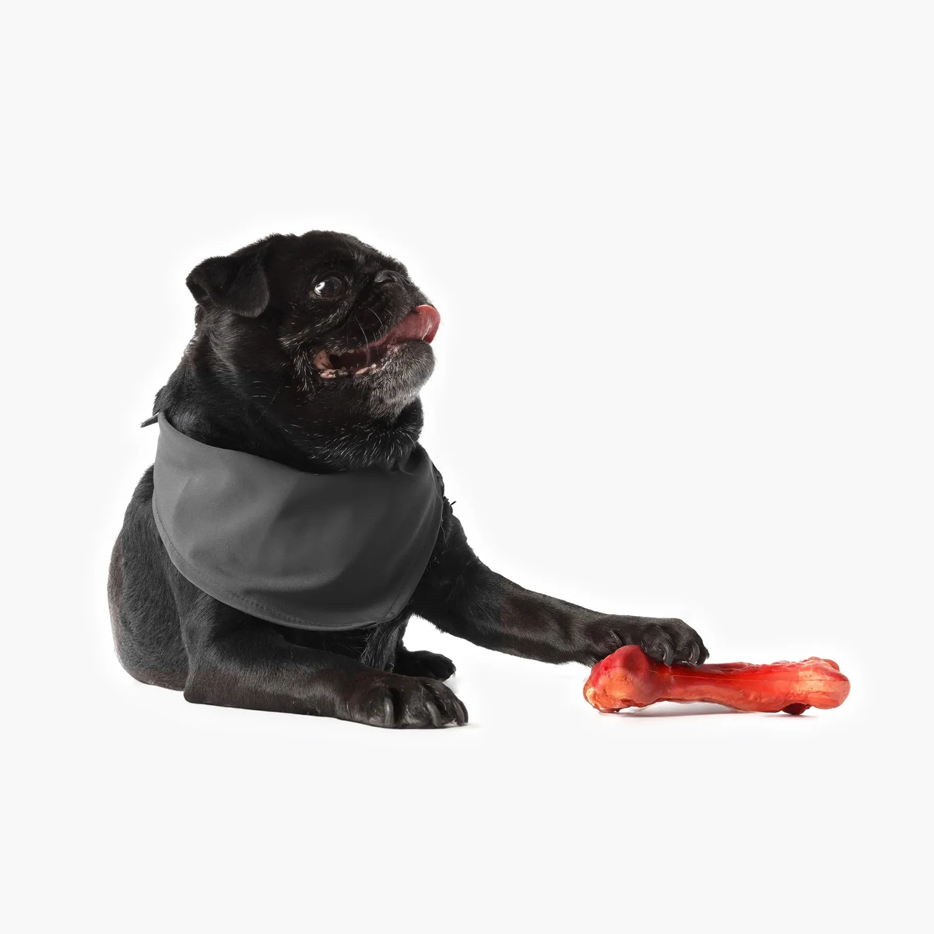 EzyDog Ezy Bones Beef Infused Dog Toy Small