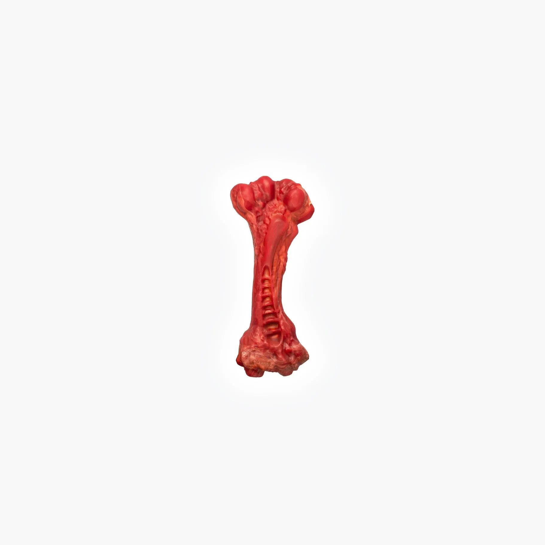 EzyDog Ezy Bones Beef Infused Dog Toy Small