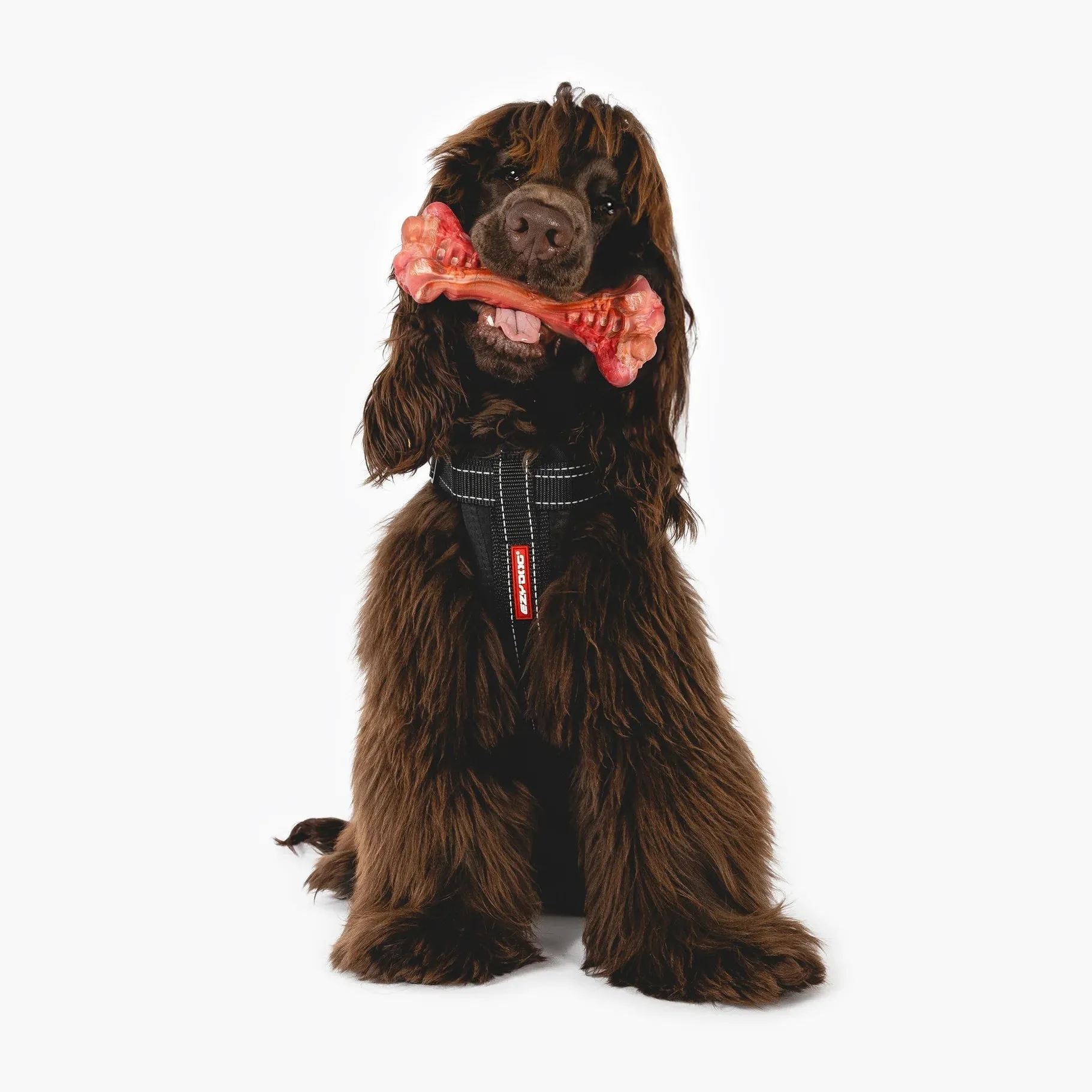 EzyDog Ezy Bones Beef Infused Dog Toy Small