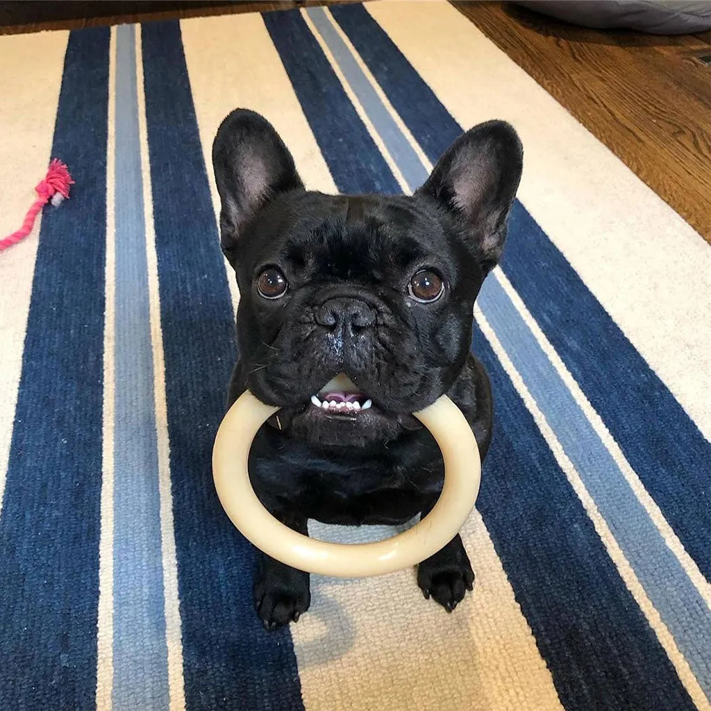 Nylabone Ring Dura Chew Power Chew Original Flavored Dog Toy, Large
