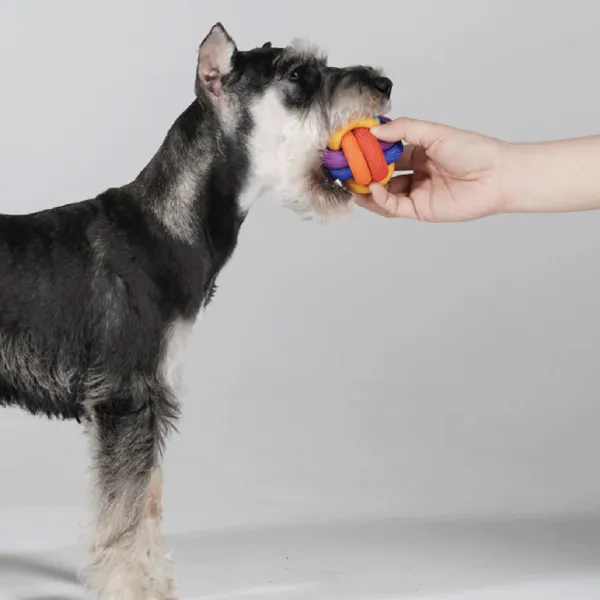 PAWZCITY Interactive Rope Ball Dog Toys