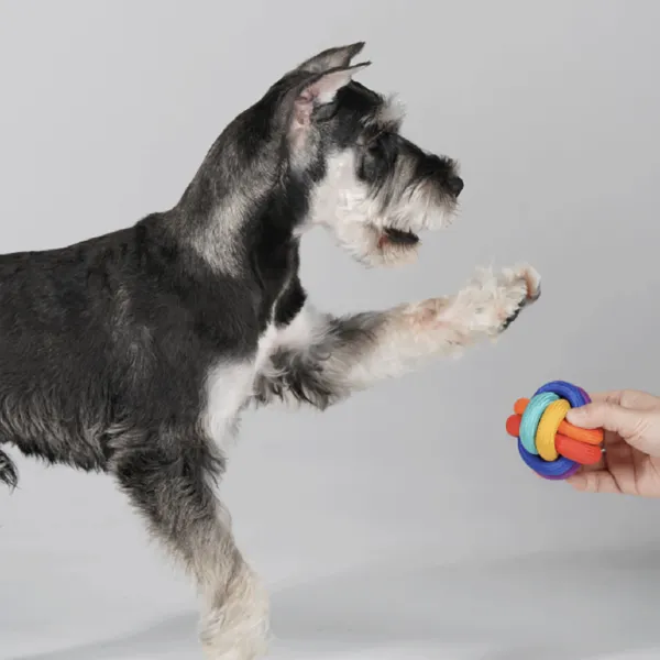 PAWZCITY Interactive Rope Ball Dog Toys