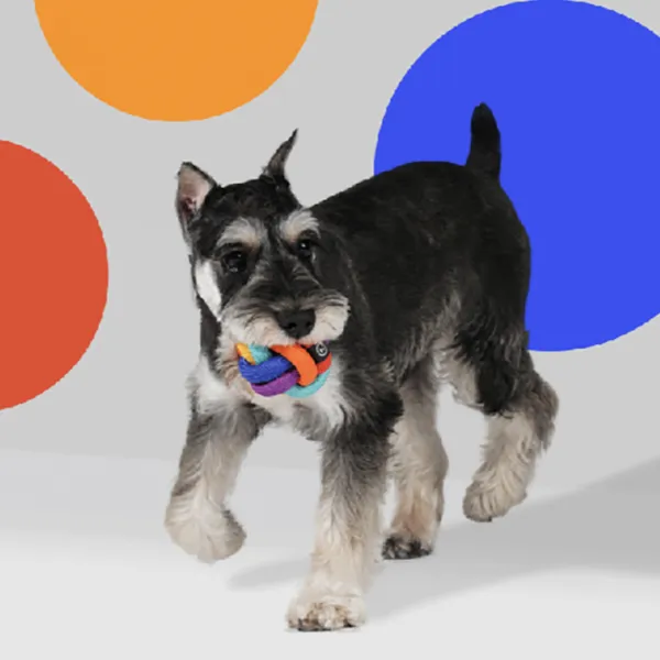 PAWZCITY Interactive Rope Ball Dog Toys