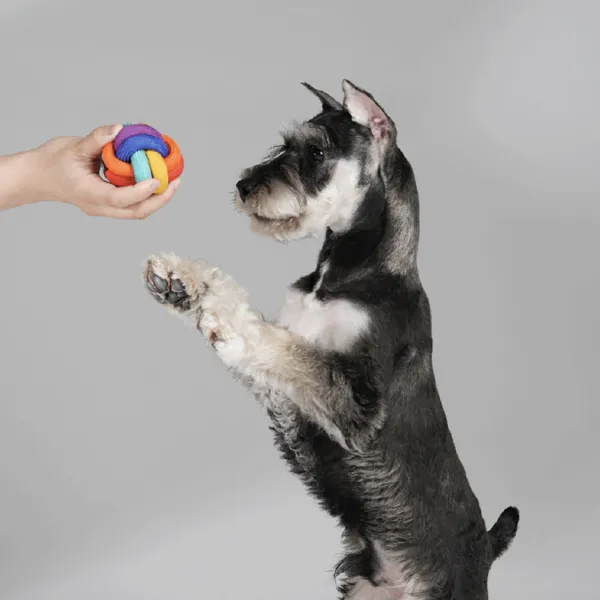 PAWZCITY Interactive Rope Ball Dog Toys