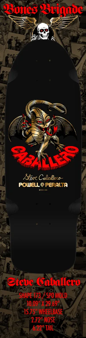 Powell Peralta Bones Brigade Series 16 FULL SET (ALL 6)