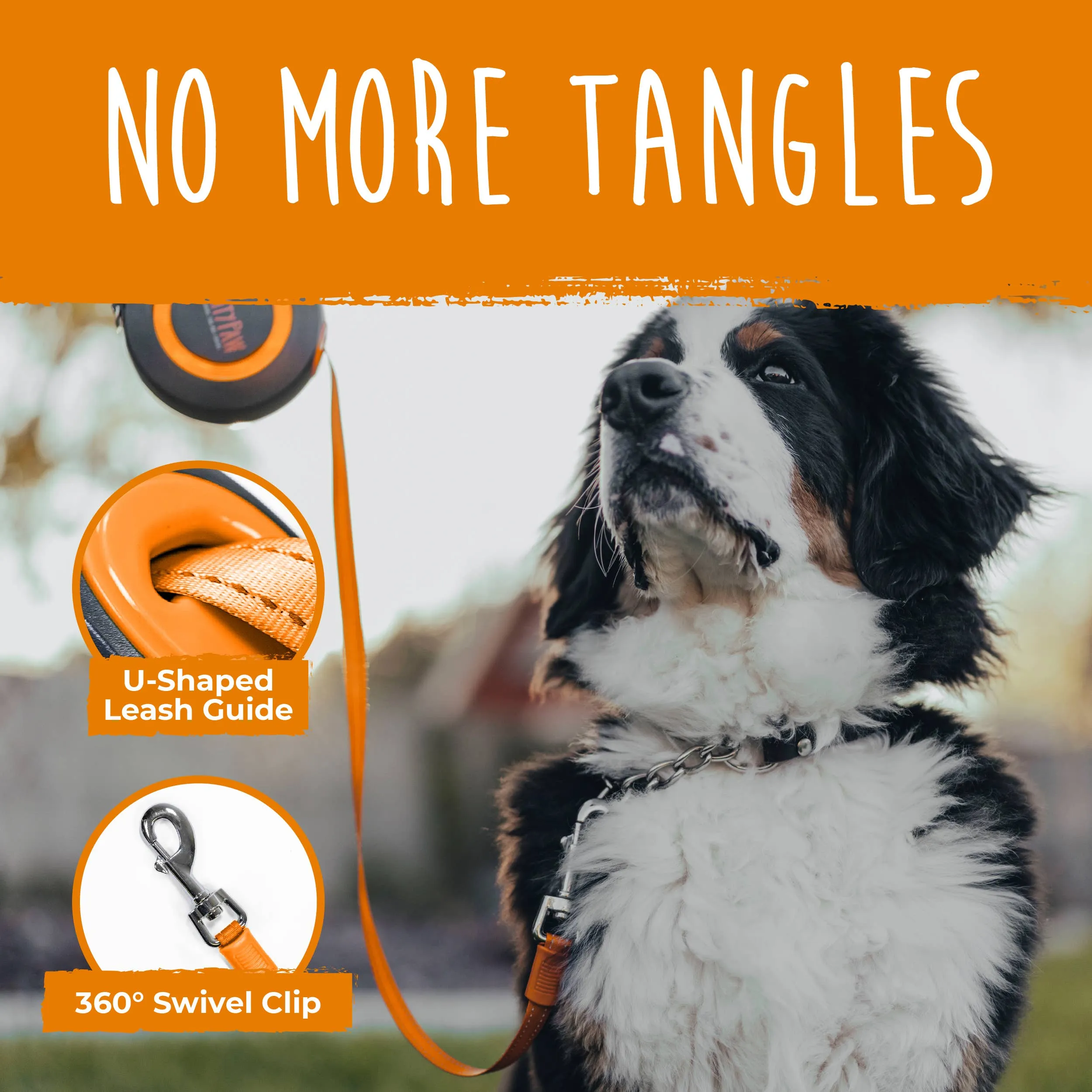 Retractable Leash 2.0
