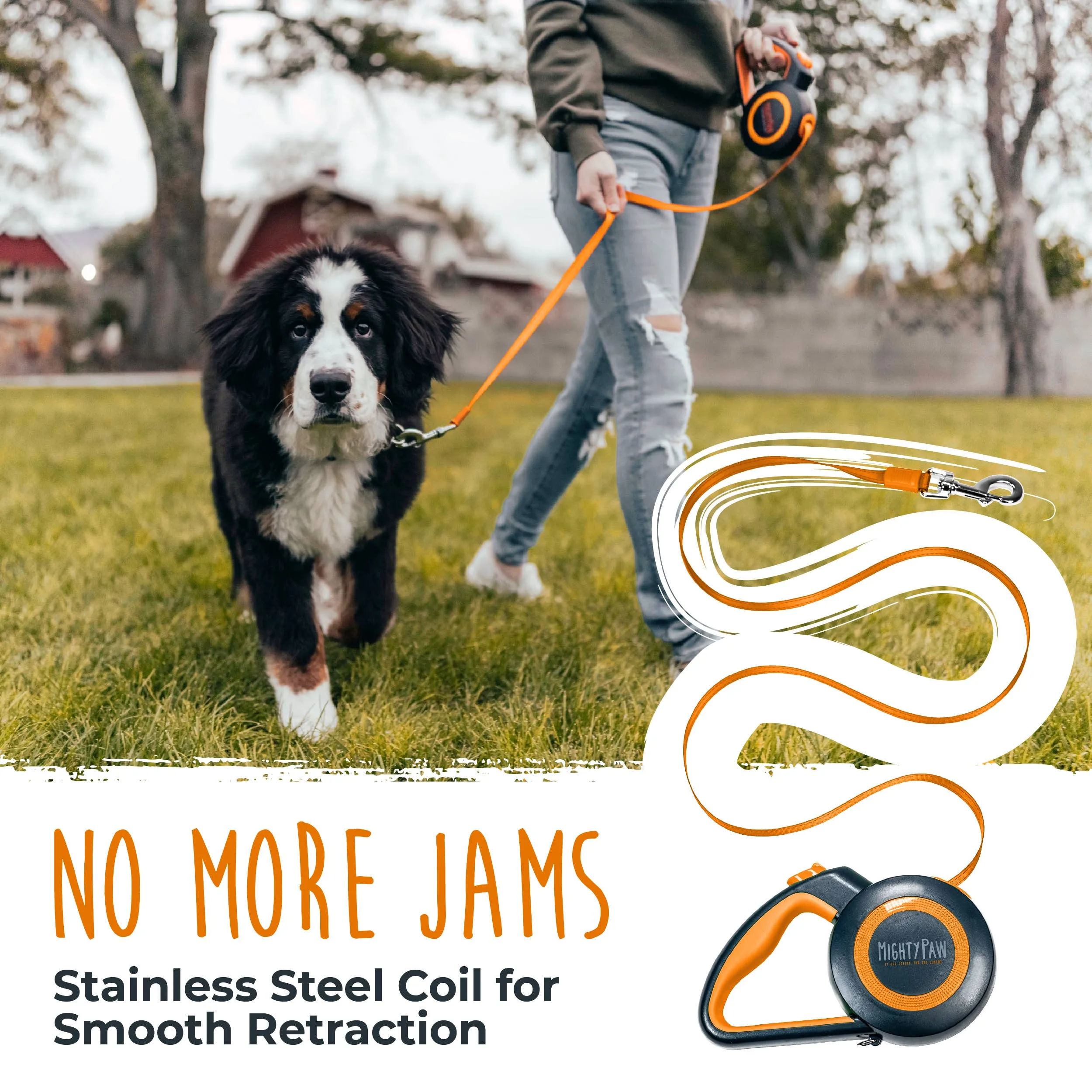 Retractable Leash 2.0