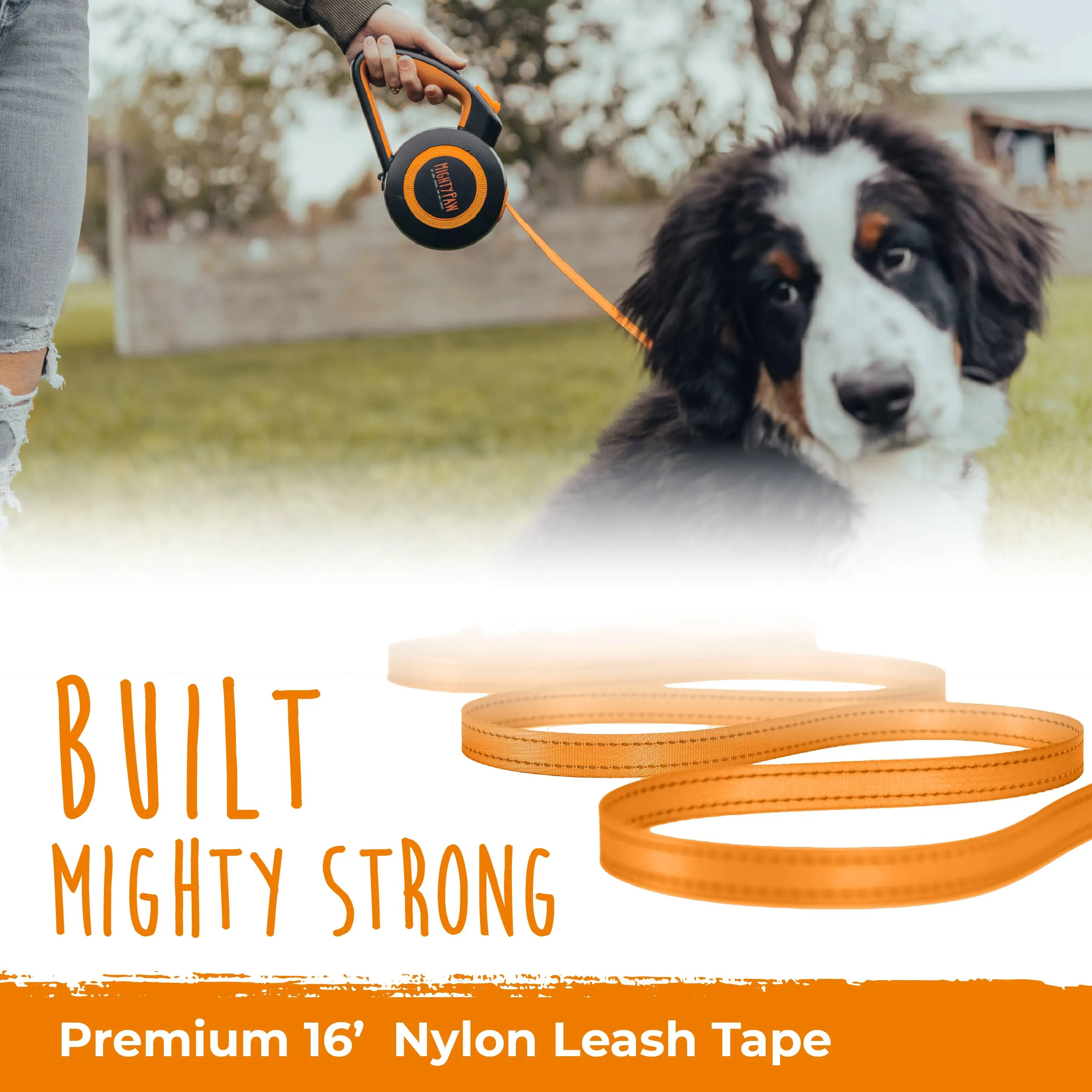 Retractable Leash 2.0