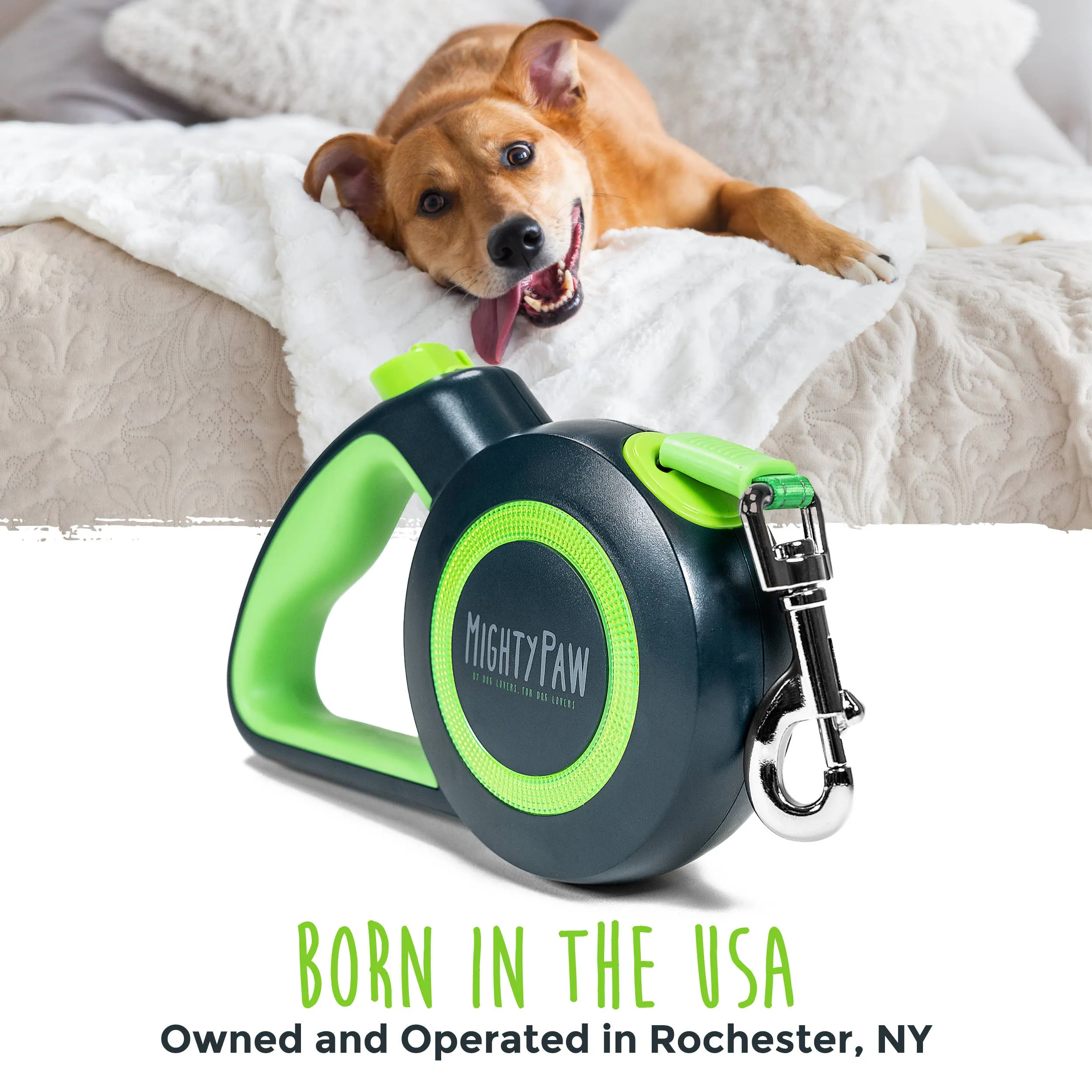 Retractable Leash 2.0