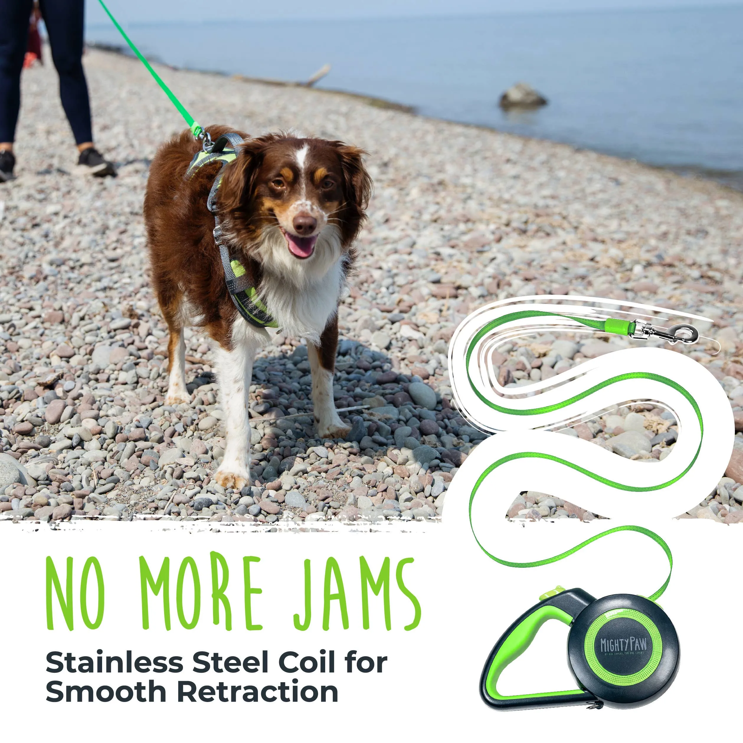 Retractable Leash 2.0