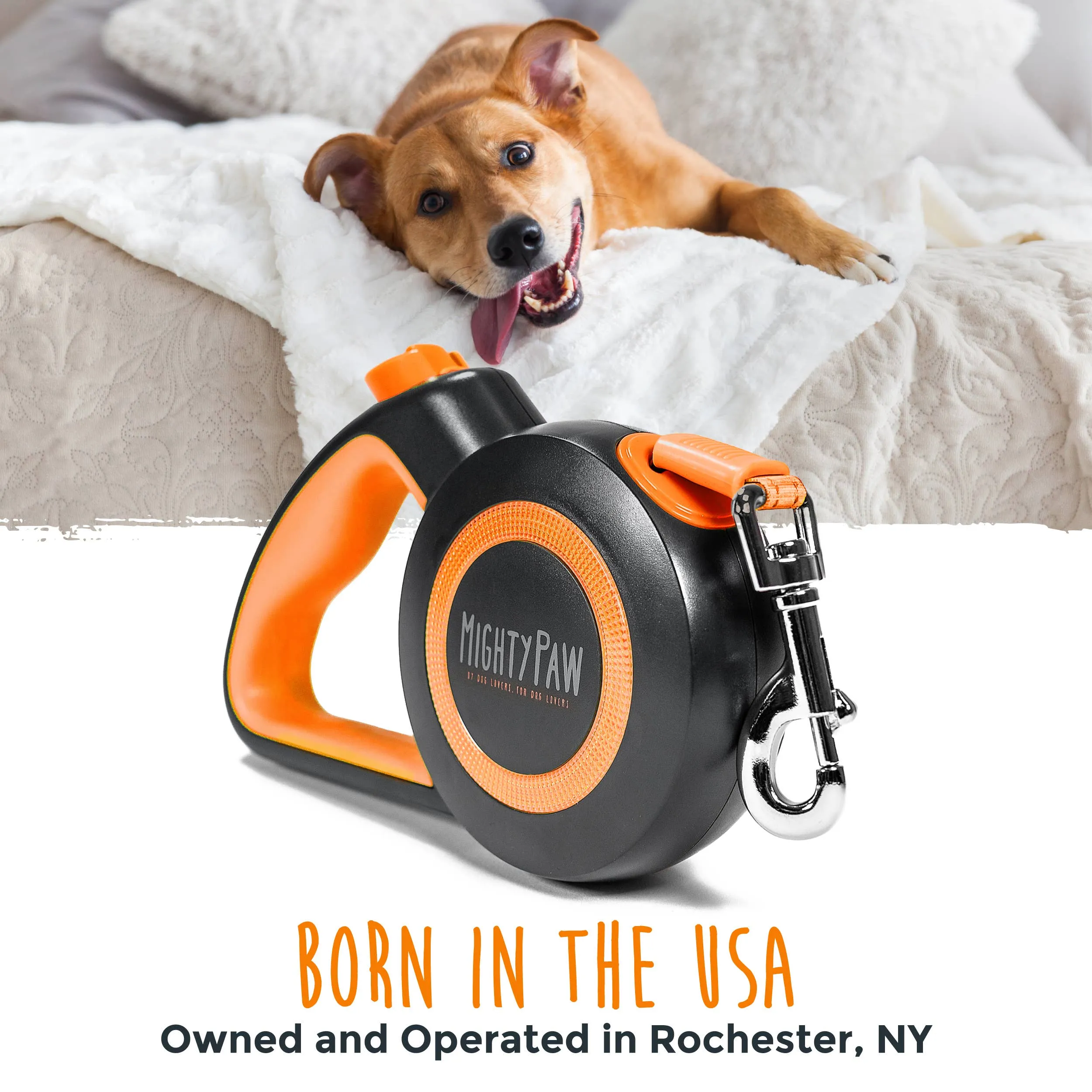 Retractable Leash 2.0