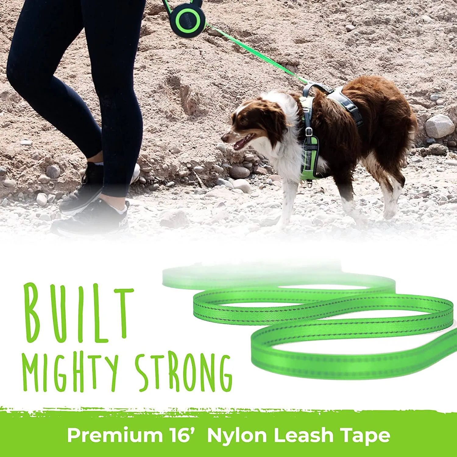 Retractable Leash 2.0